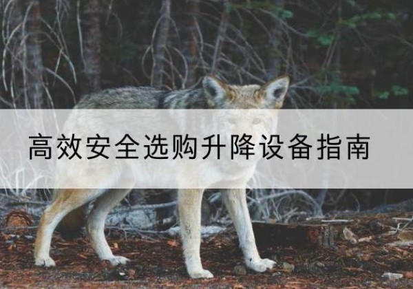 北关升降货梯厂家推荐-*安全选购升降设备指南