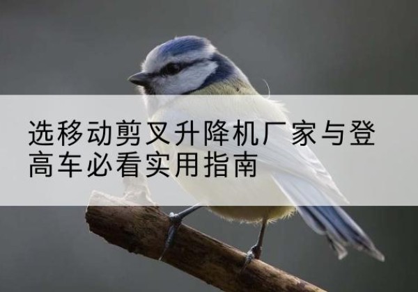 北关电动升降机厂家-选移动剪叉升降机厂家与登高车必看实用指南