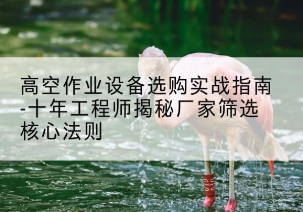 北关剪叉式升降机厂家-高空作业设备选购实战指南-十年工程师揭秘厂家筛选核心法则